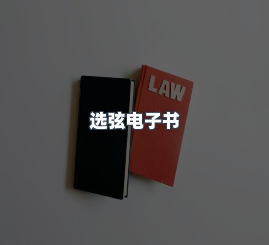 关于选弦电子书